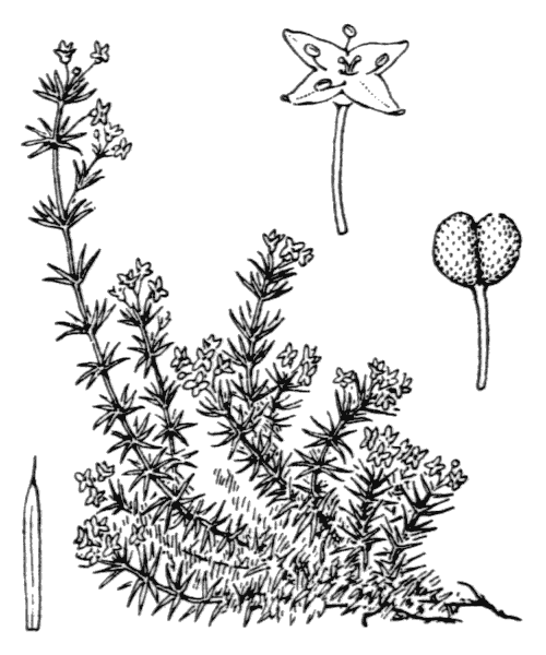 Illustration de Coste