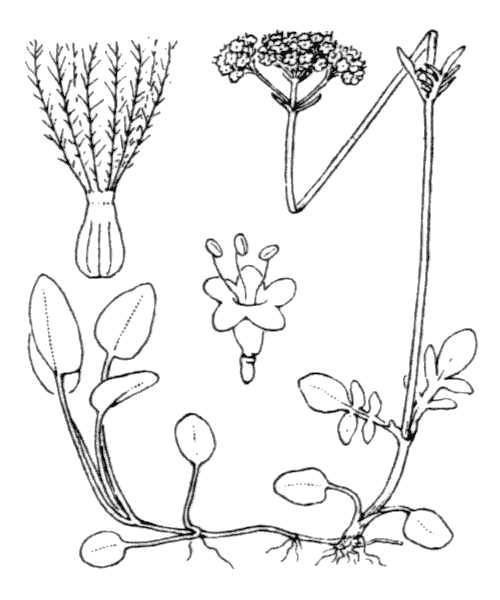 Illustration de Coste