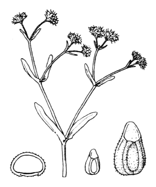 Illustration de Coste