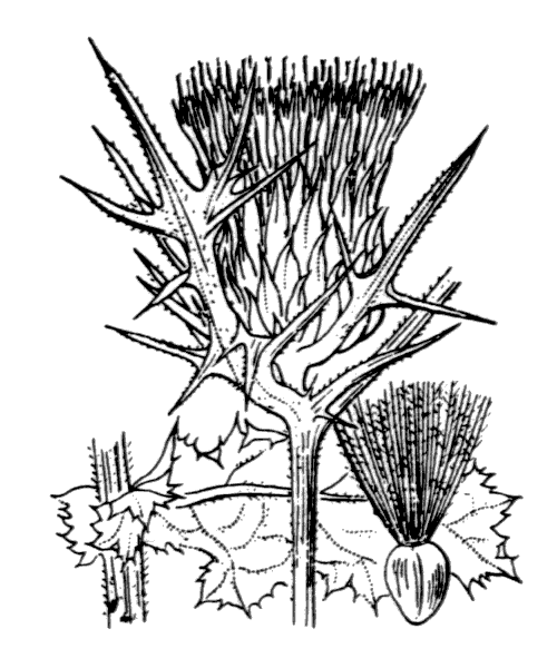 Illustration de Coste