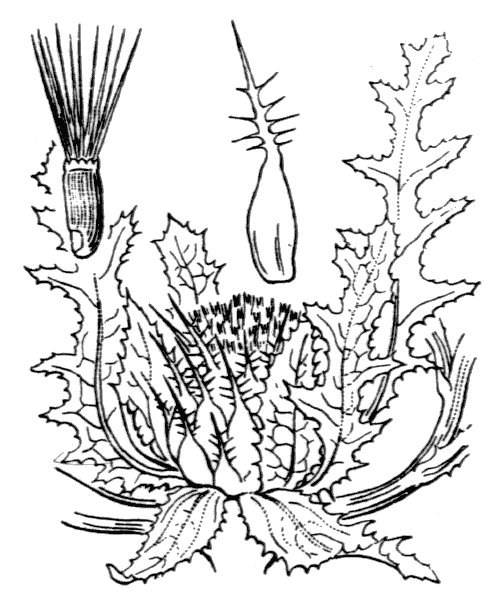 Illustration de Coste