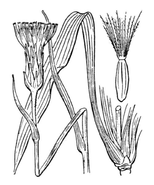 Illustration de Coste