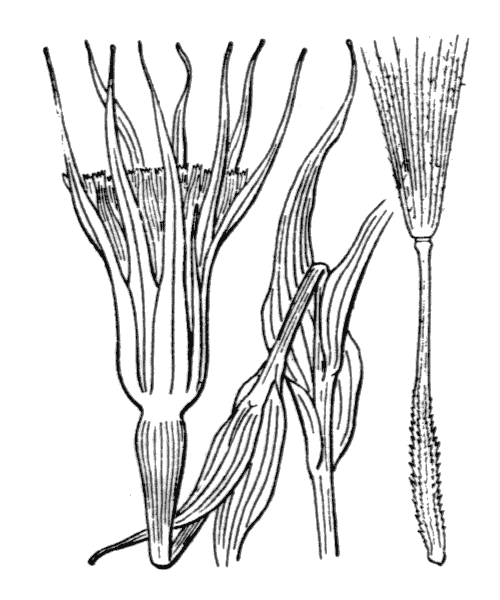 Illustration de Coste