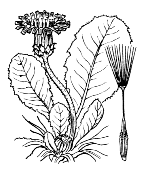 Illustration de Coste