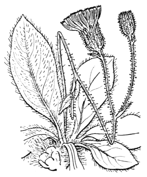 Illustration de Coste