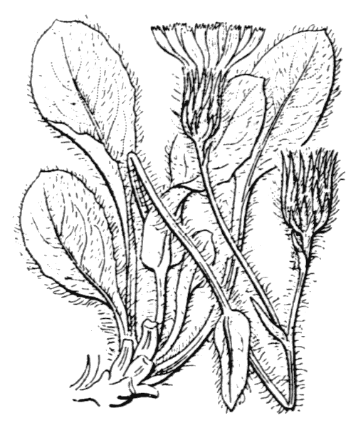 Illustration de Coste