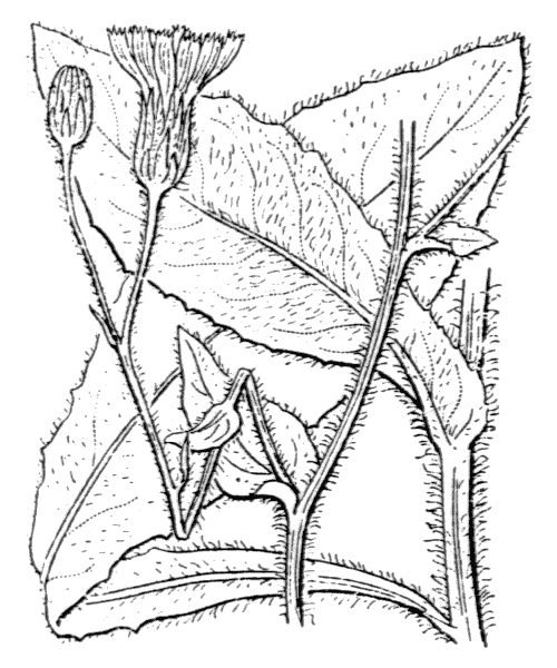 Illustration de Coste