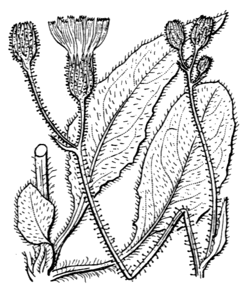 Illustration de Coste