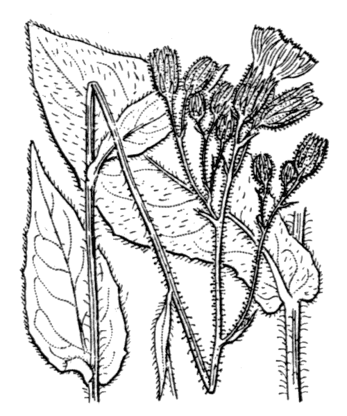 Illustration de Coste