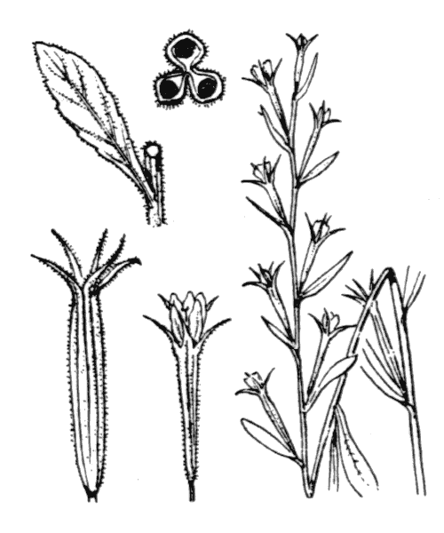 Illustration de Coste