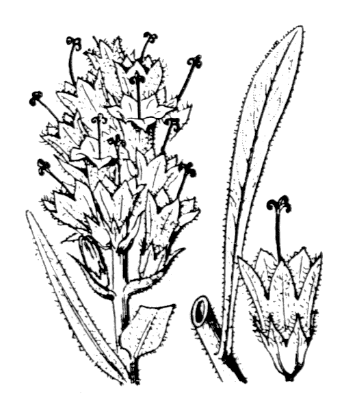 Illustration de Coste