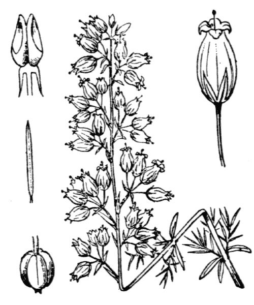 Illustration de Coste