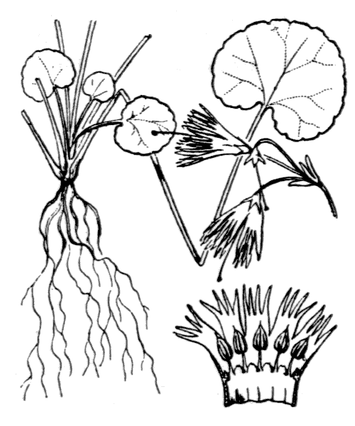 Illustration de Coste