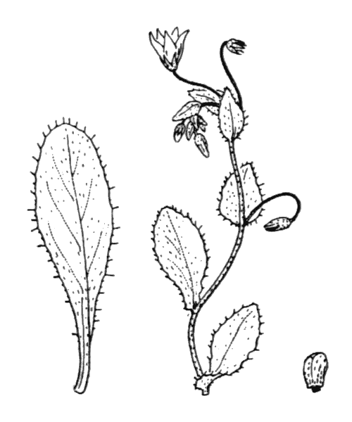 Illustration de Coste