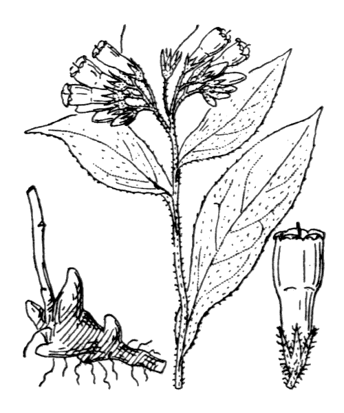 Illustration de Coste