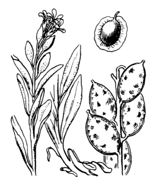 Illustration de Coste