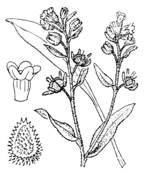 Illustration de Coste