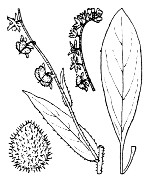 Illustration de Coste