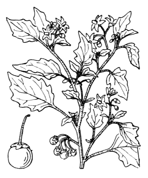 Illustration de Coste