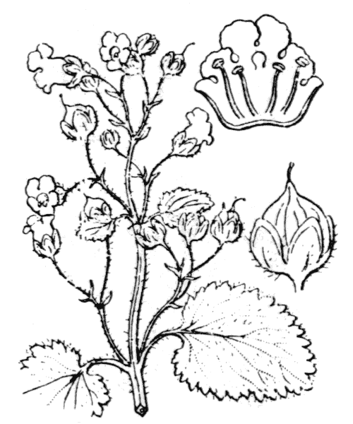 Illustration de Coste