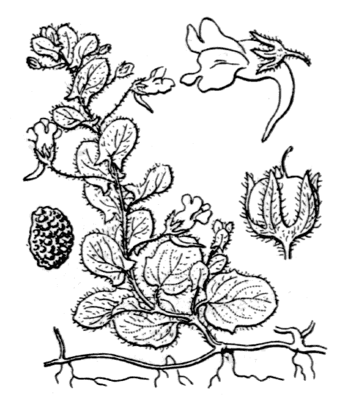 Illustration de Coste