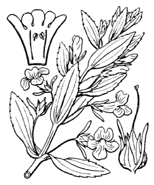 Illustration de Coste