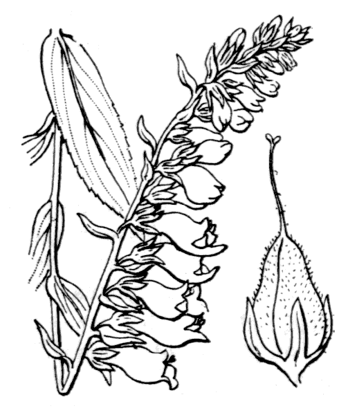 Illustration de Coste