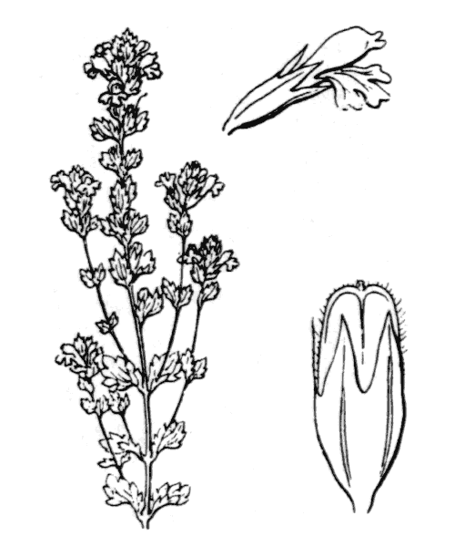 Illustration de Coste