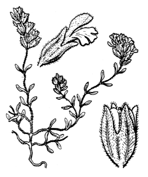 Illustration de Coste