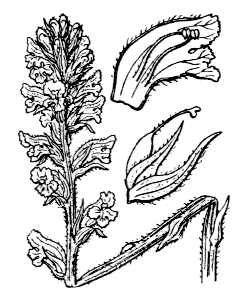 Illustration de Coste