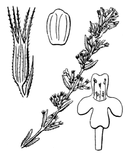 Illustration de Coste