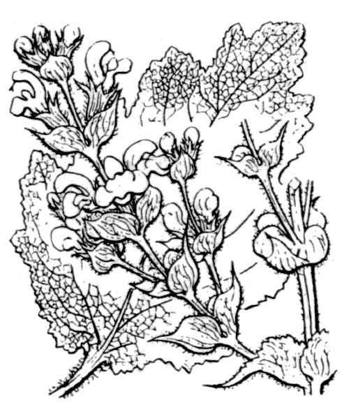 Illustration de Coste