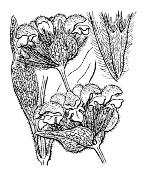 Illustration de Coste