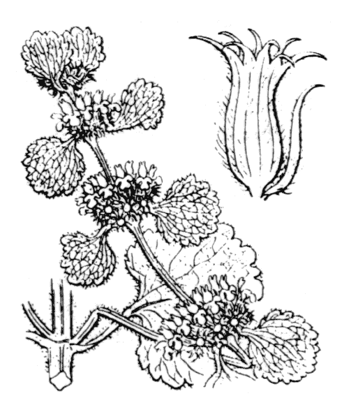 Illustration de Coste