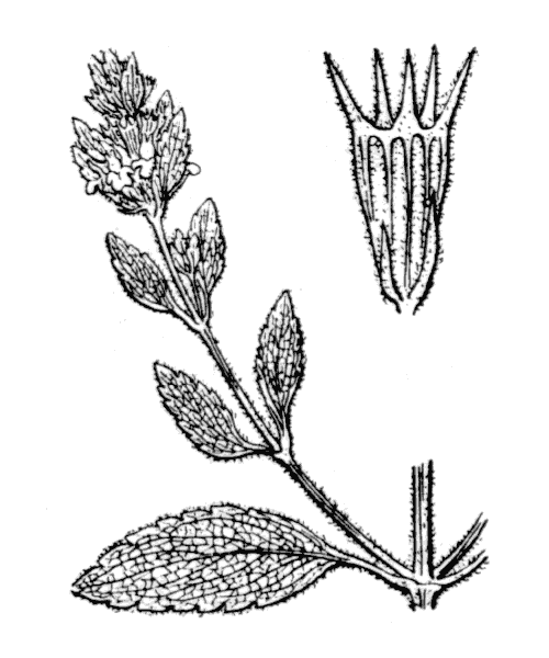 Illustration de Coste