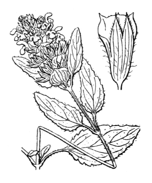 Illustration de Coste