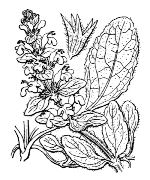 Illustration de Coste