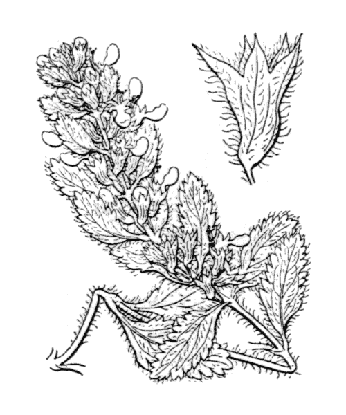 Illustration de Coste