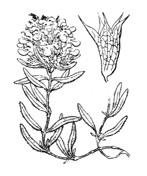 Illustration de Coste