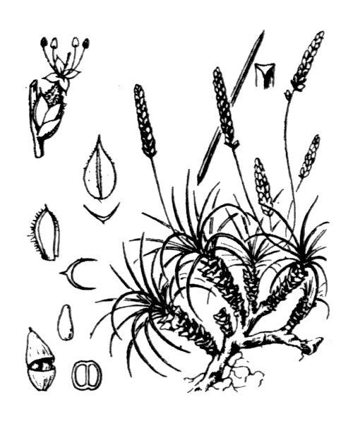 Illustration de Coste