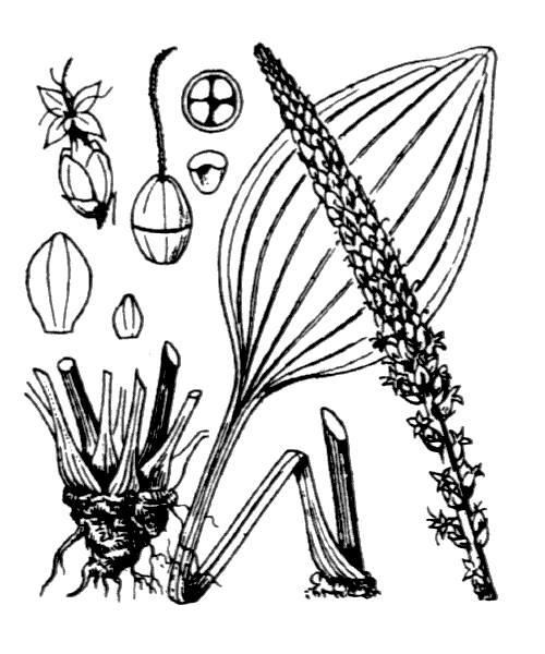 Illustration de Coste