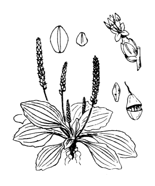 Illustration de Coste