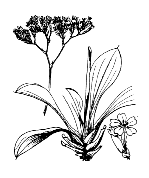 Illustration de Coste