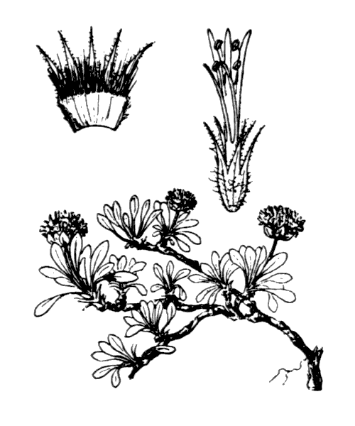 Illustration de Coste