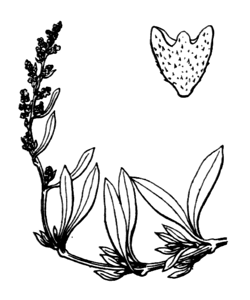 Illustration de Coste