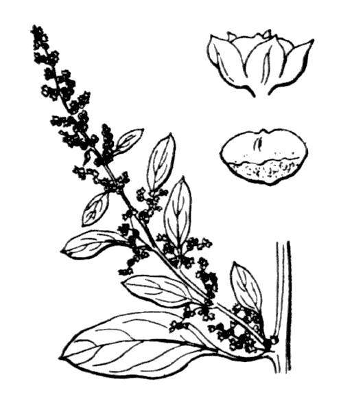 Illustration de Coste