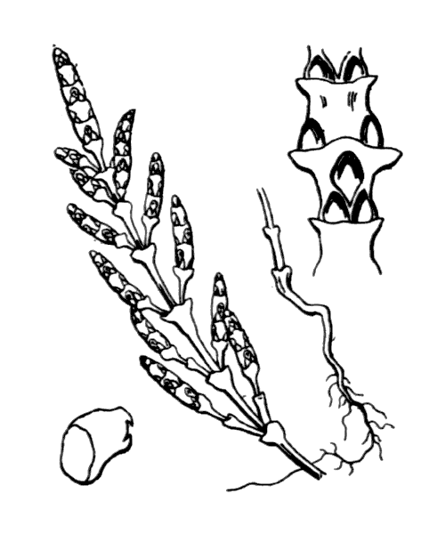 Illustration de Coste