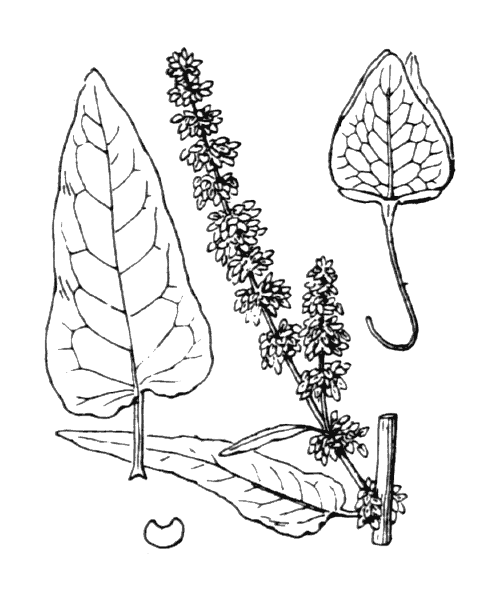 Illustration de Coste