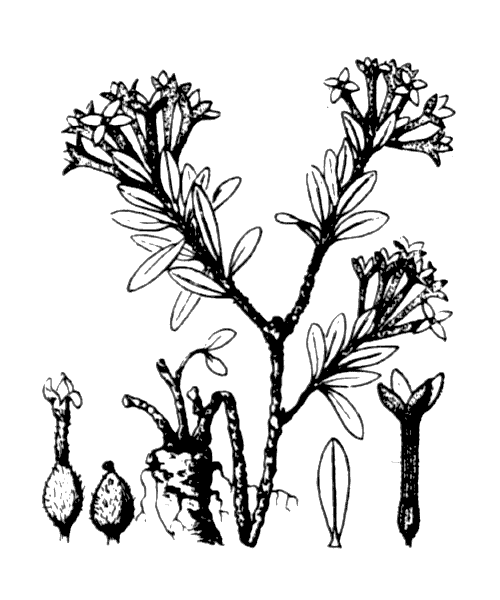 Illustration de Coste