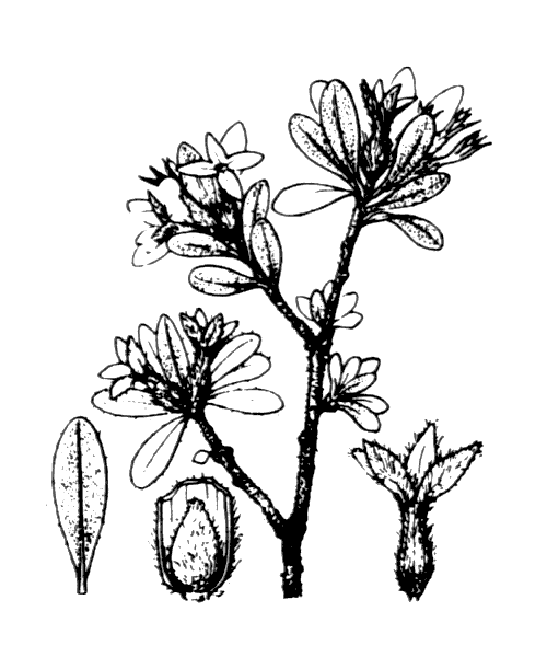 Illustration de Coste